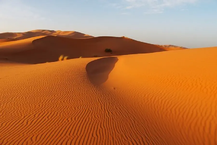 Sunrise Camel Ride in Merzouga Desert