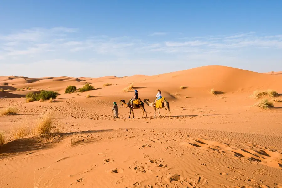 Sunrise Camel Ride in Merzouga Desert