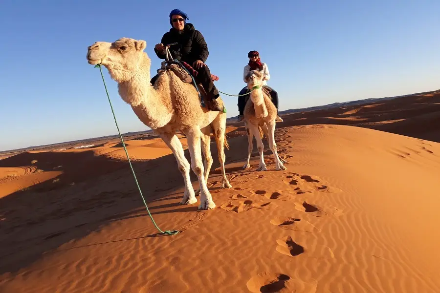 Sunset Camel Ride in Merzouga Desert